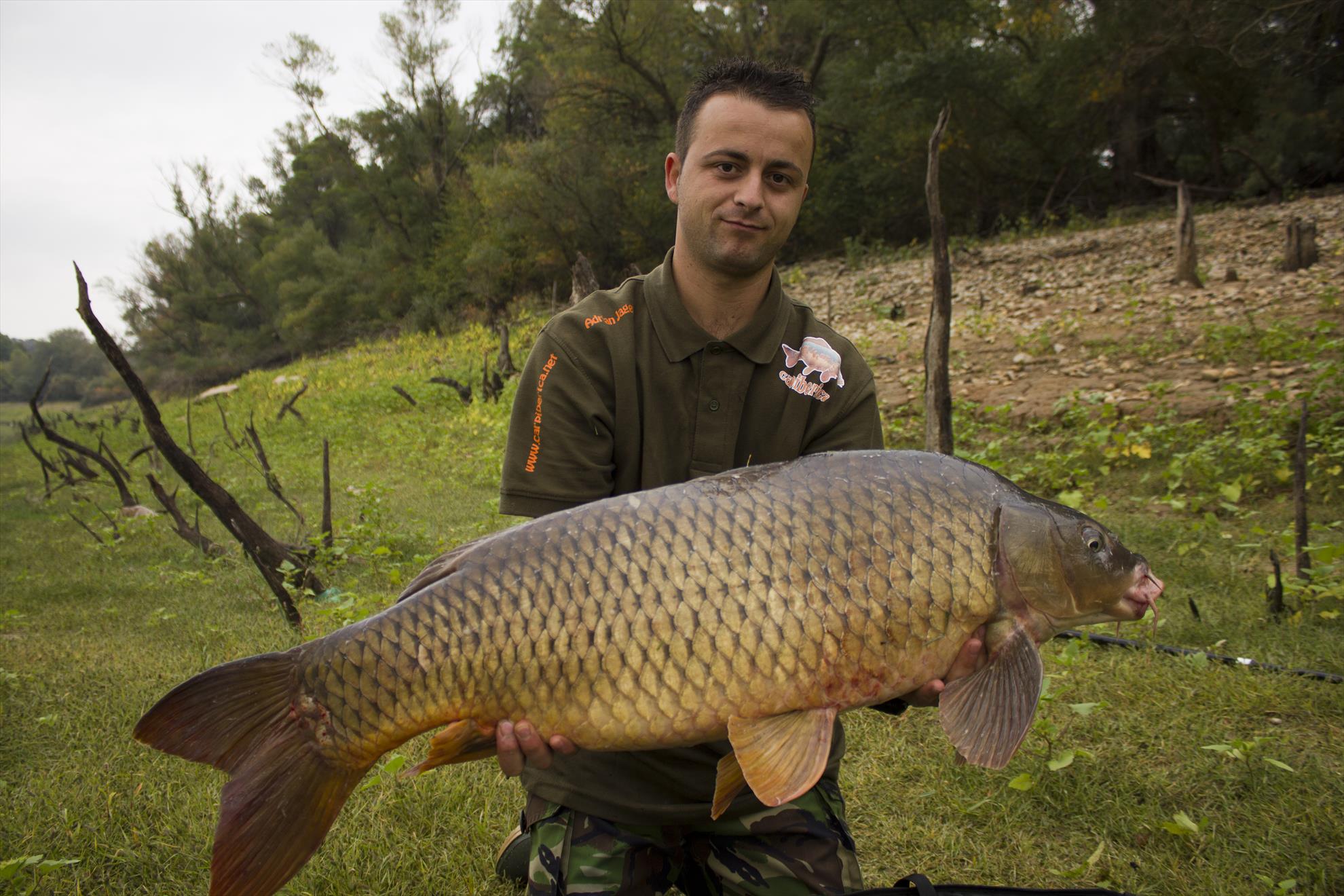 Carpfishing 2013 - mg5533.JPG